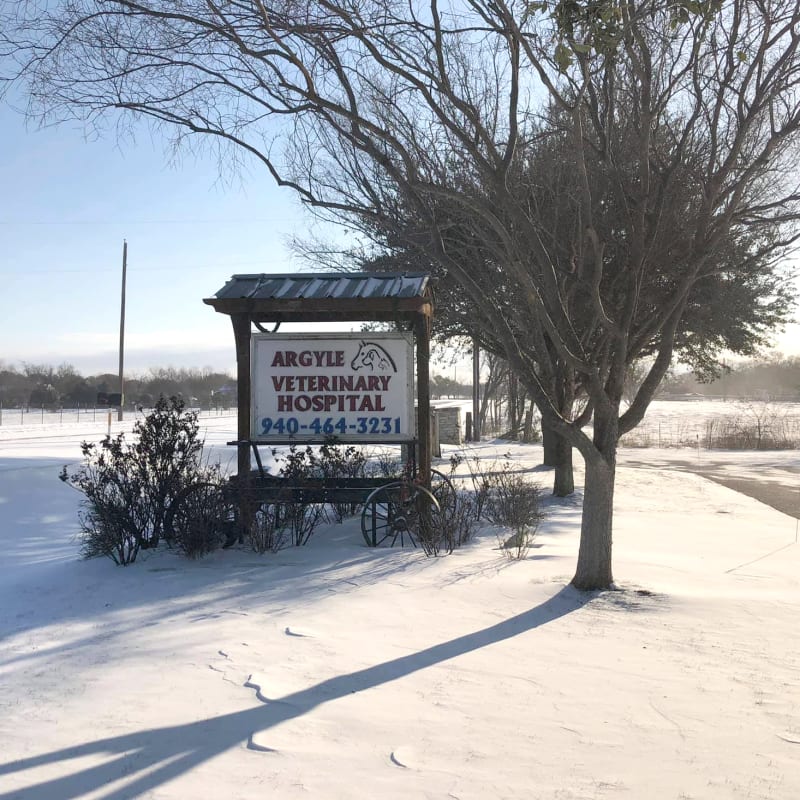 Argyle Veterinary Hospital in Argyle